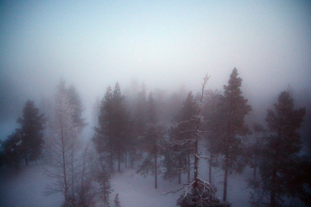 f0373905_10293464.jpg