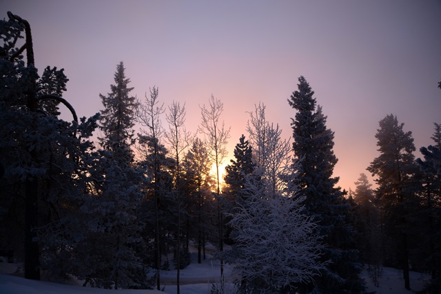 f0373905_1031431.jpg