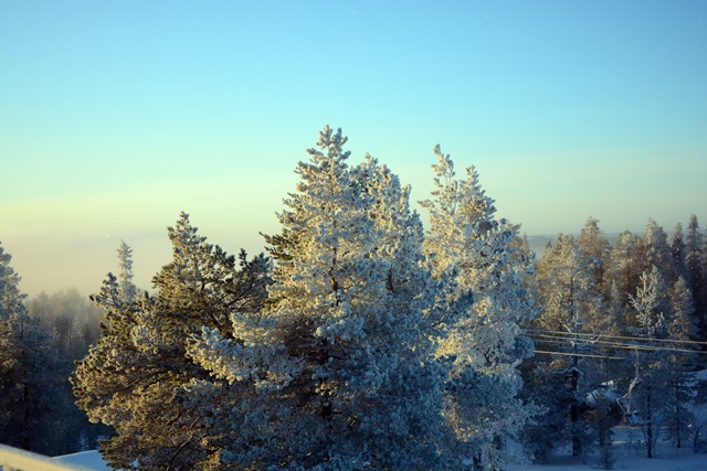 f0373905_1054191.jpg