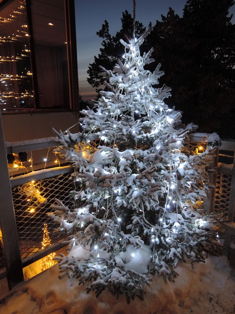 f0373905_11274011.jpg