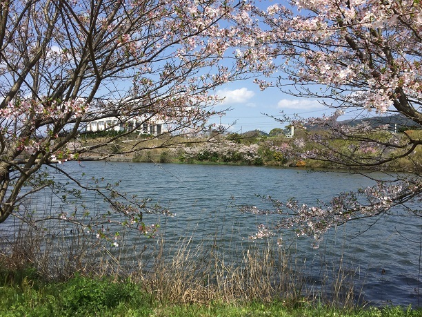 鳥羽公園（飯塚市有安）_f0364707_21450690.jpg