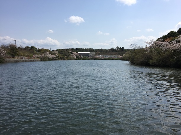 f0364707_21533004.jpg
