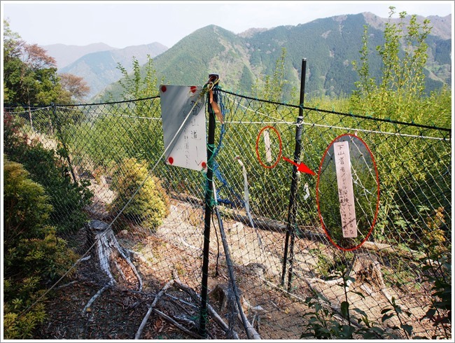 2017/05/01 台高最深部　池木屋山・霧降山_f0052108_01283835.jpg