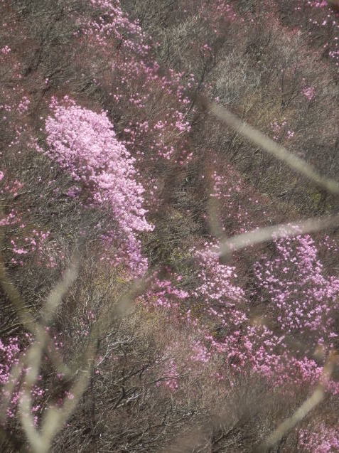 f0219710_10312591.jpg