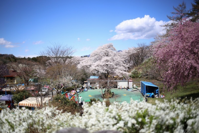 春の景色 ナイスショット軽井沢 軽井沢リゾート情報