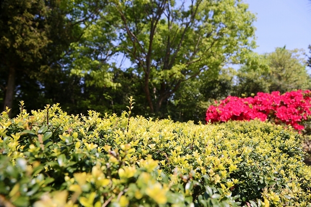 a0242438_20094916.jpg