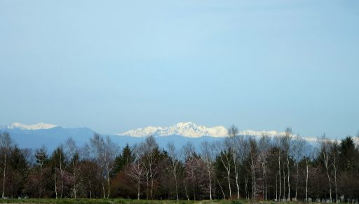 b0178339_01351030.jpg