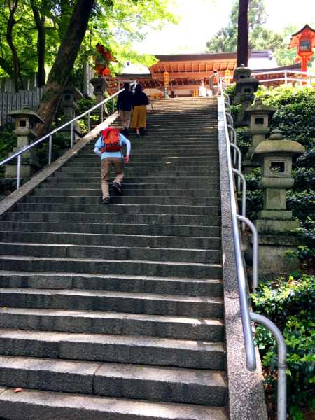 花暦ウォーク@暗峠・なるかわ園地コース_e0292546_01325577.jpg