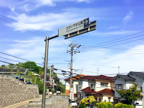 花暦ウォーク@暗峠・なるかわ園地コース_e0292546_02540775.jpg