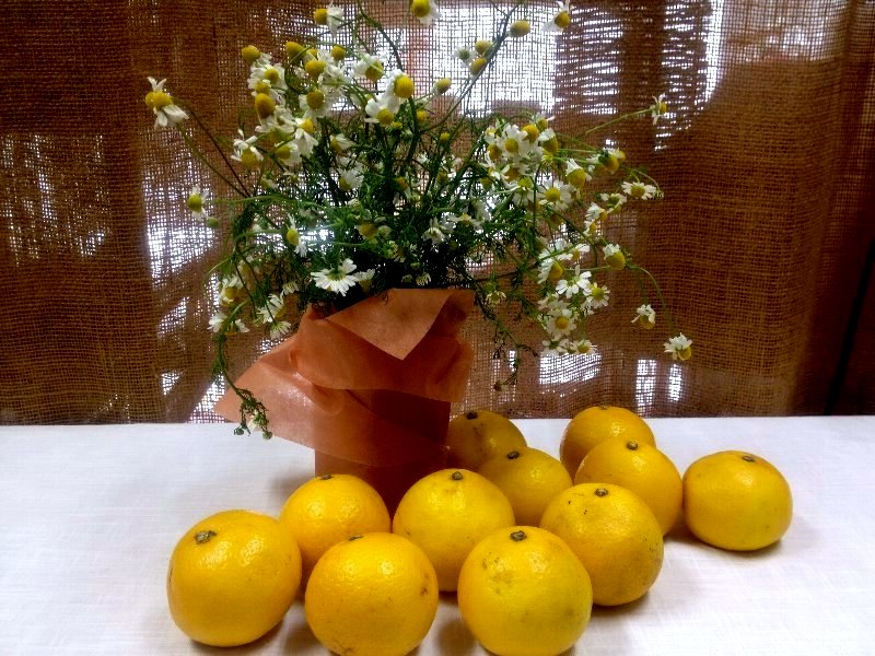 ☆フレッシュなリフレッシュ便☆_c0092953_6475365.jpg