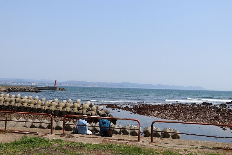 4月30日 函館公園から住吉漁港へ 2 そよ風のように 4月30日 函館公園から住吉漁港へ 2 そよ風のように