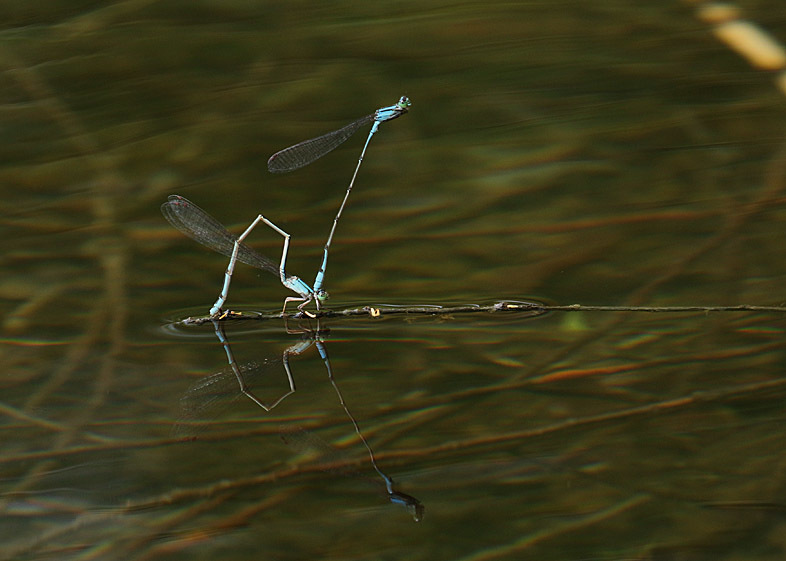 d0146854_09565558.jpg