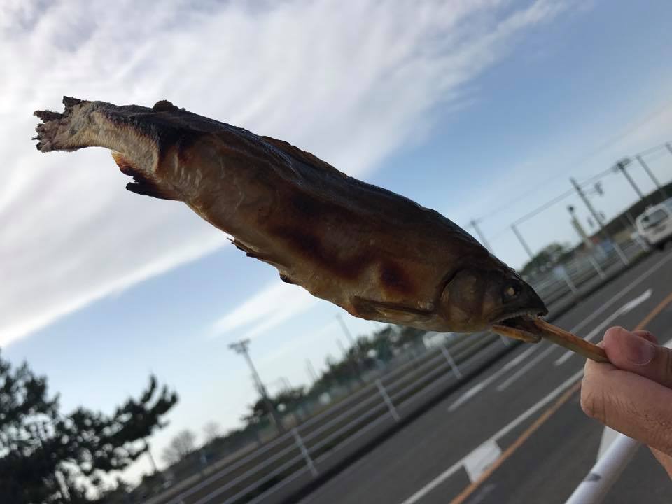 いきなり111キロ!8時間! 2017.5.8_b0002156_9113611.jpg