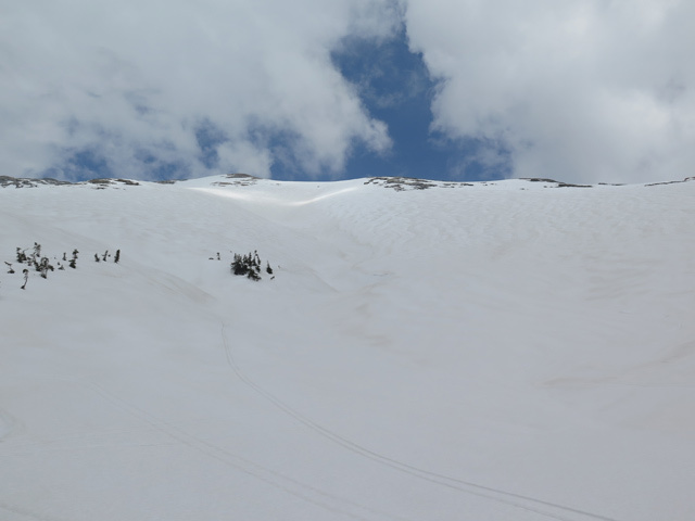 c0116856_20475939.jpg