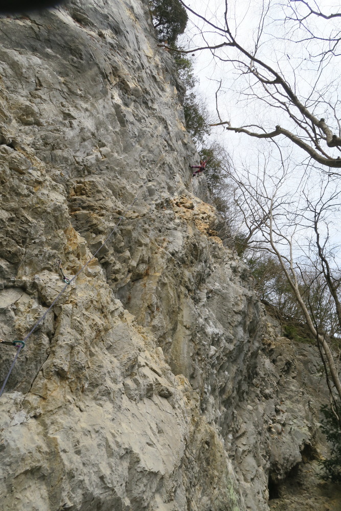 2017年3月24日～29日 下帝釈峡クライミング_c0127663_19064968.jpg