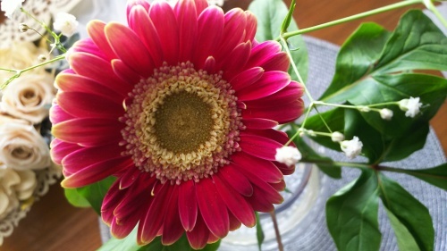 神戸から、お花が笑った_a0098174_00081904.jpg