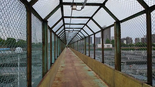 e0020682_11155627.jpg