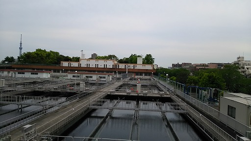 e0020682_11174139.jpg