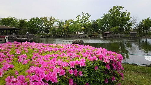 e0020682_11362030.jpg