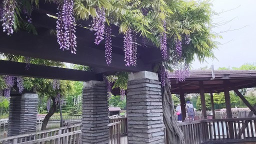 e0020682_11383392.jpg