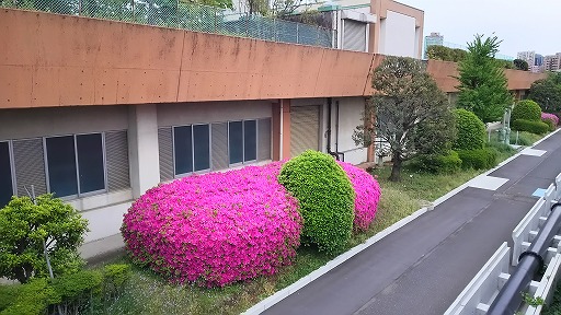 e0020682_1335174.jpg