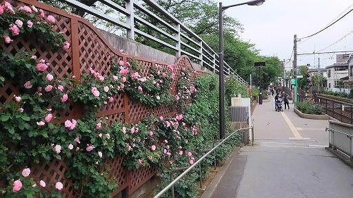 e0020682_13354029.jpg