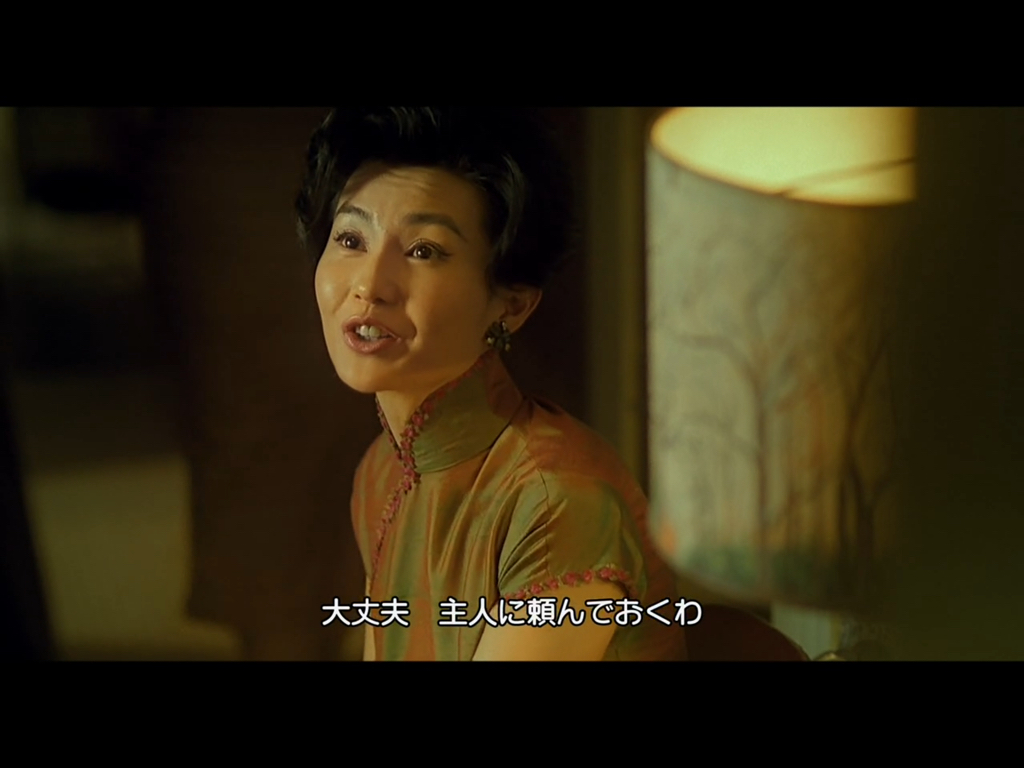 花様年華 最も美しいチャイナドレス おしゃれを巡る冒険