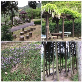 愛媛県西条市　造園デザインが魅力的な場所、西条市民の森_d0337795_10500097.jpg