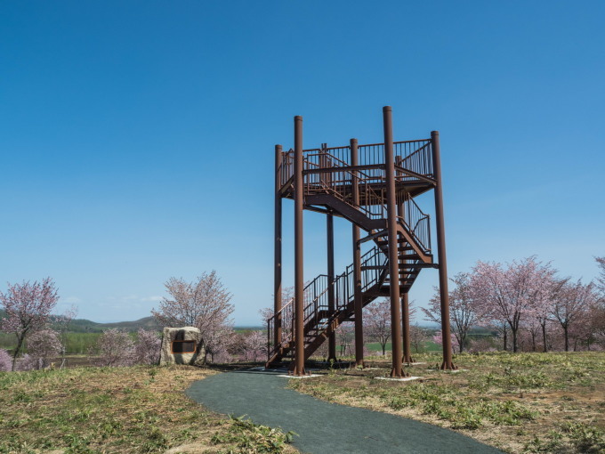 「村道沿いの一本桜」と「桜六花公園」村の桜が見頃です!_f0276498_16124620.jpg