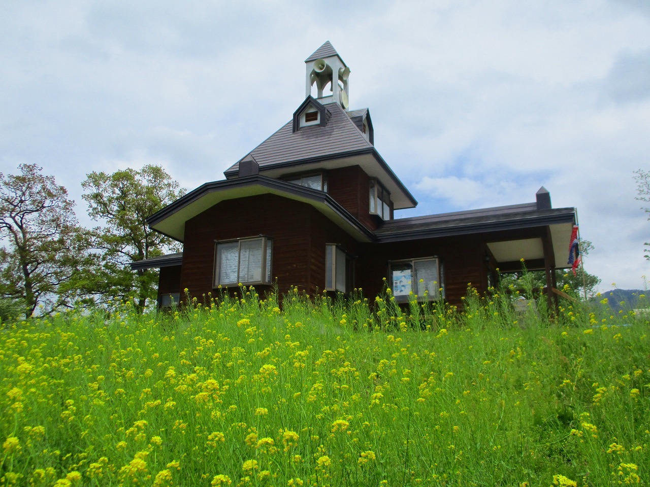 菜の花公園_b0163804_18491446.jpg