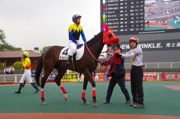 チョリータ 13戦目＠大井競馬場 4R 2017.5.10_d0344707_19292340.jpg