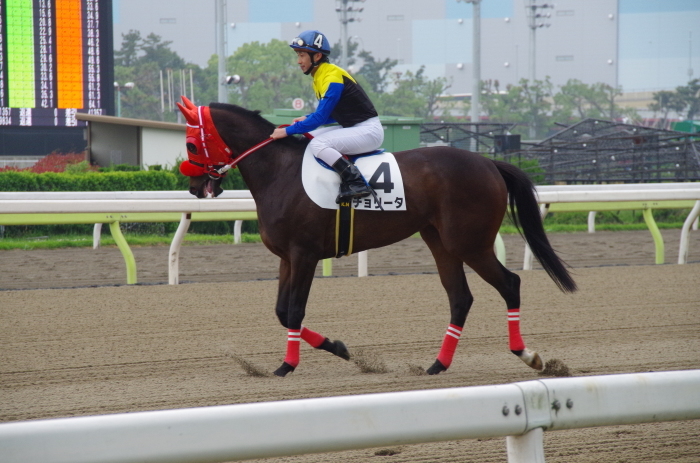 チョリータ 13戦目＠大井競馬場 4R 2017.5.10_d0344707_19295265.jpg