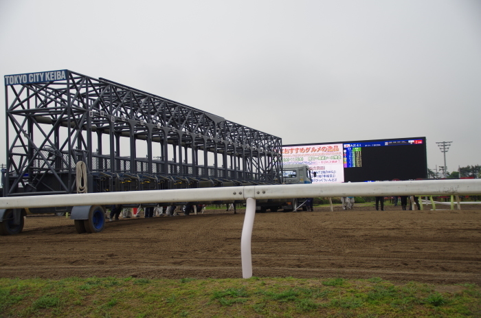 チョリータ 13戦目＠大井競馬場 4R 2017.5.10_d0344707_19300593.jpg