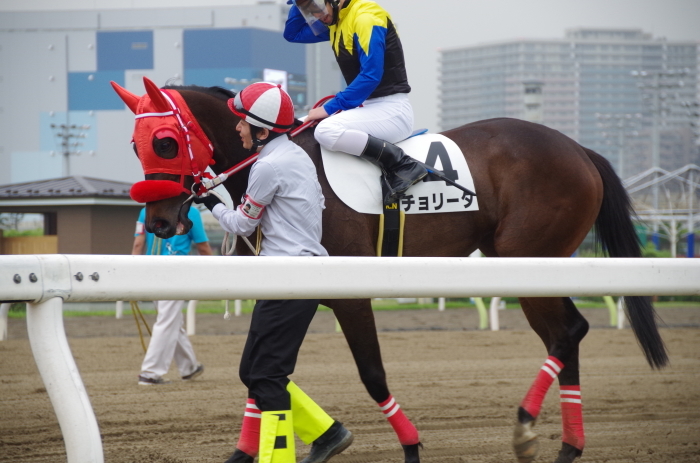 チョリータ 13戦目＠大井競馬場 4R 2017.5.10_d0344707_19301655.jpg