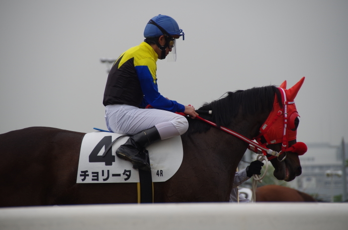 チョリータ 13戦目＠大井競馬場 4R 2017.5.10_d0344707_19302347.jpg