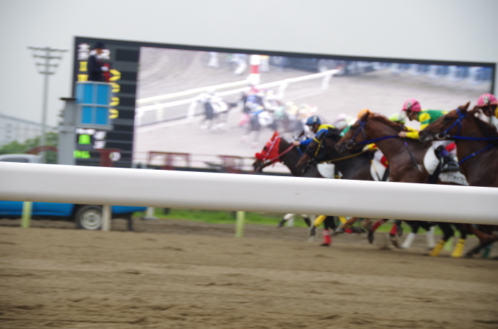 チョリータ 13戦目＠大井競馬場 4R 2017.5.10_d0344707_19304282.jpg