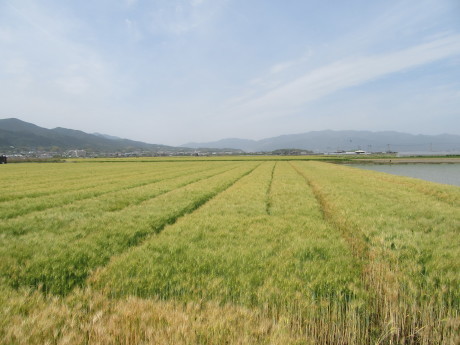 f0231709_05504457.jpg