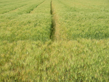 f0231709_05543429.jpg