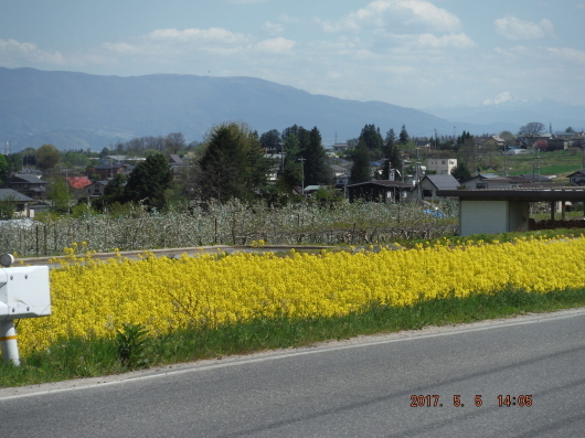 d0281110_14521030.jpg