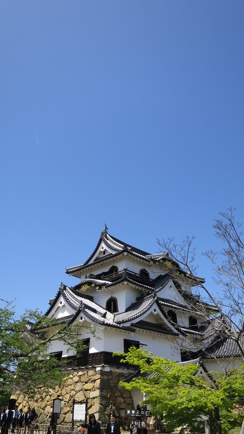 d0038712_200417.jpg