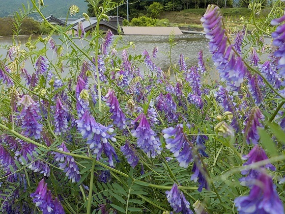 f0341616_16051193.jpg
