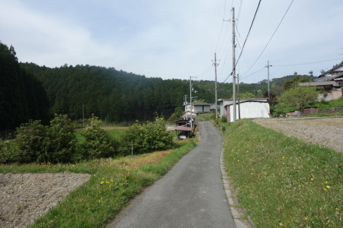 京都トレイル（北山西～西山コース）30キロ_c0223019_12593306.jpg