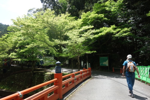 京都トレイル（北山西～西山コース）30キロ_c0223019_13044142.jpg