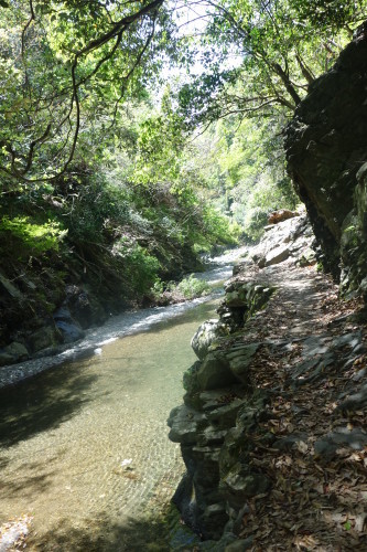 京都トレイル（北山西～西山コース）30キロ_c0223019_13075491.jpg