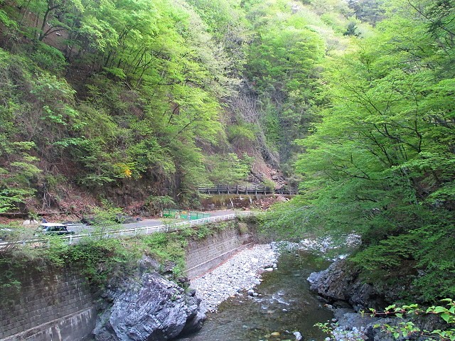 奥秩父 両神山の失われた路から狩倉岳へ Karikuradake in 奥秩父 両神山の失われた路から狩倉岳へ Karikuradake in