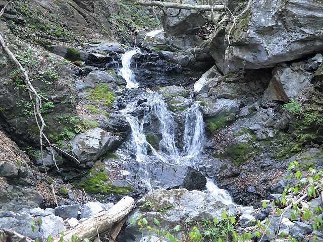 奥秩父 両神山の失われた路から狩倉岳へ Karikuradake in 奥秩父 両神山の失われた路から狩倉岳へ Karikuradake in