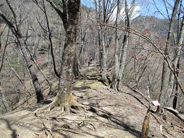 奥秩父 両神山の失われた路から狩倉岳へ Karikuradake in 奥秩父 両神山の失われた路から狩倉岳へ Karikuradake in