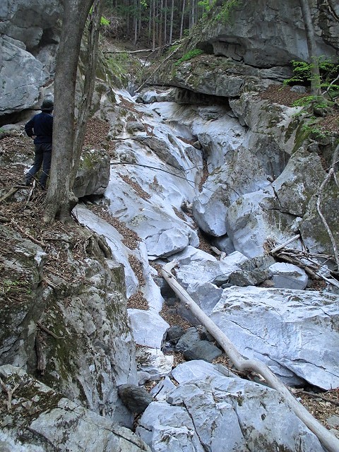 奥秩父 両神山の失われた路から狩倉岳へ Karikuradake in 奥秩父 両神山の失われた路から狩倉岳へ Karikuradake in