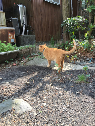 5月のお休み _a0246432_10520363.jpg