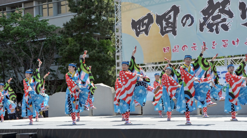 四国の祭り 2007　よさこい / とらっくよさこい(ちふれ)_d0246136_14492296.jpg